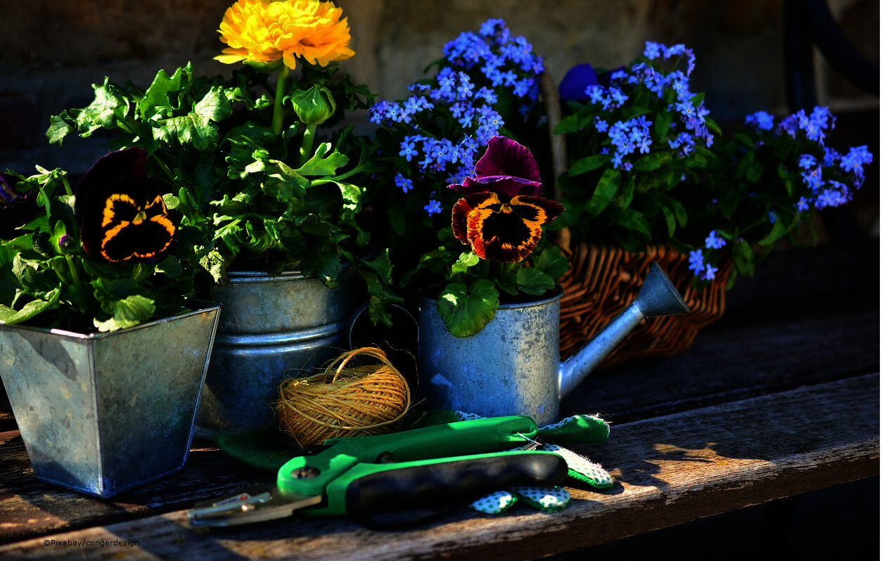 DorfZeit – Zeit der Frühlingsgrüße
